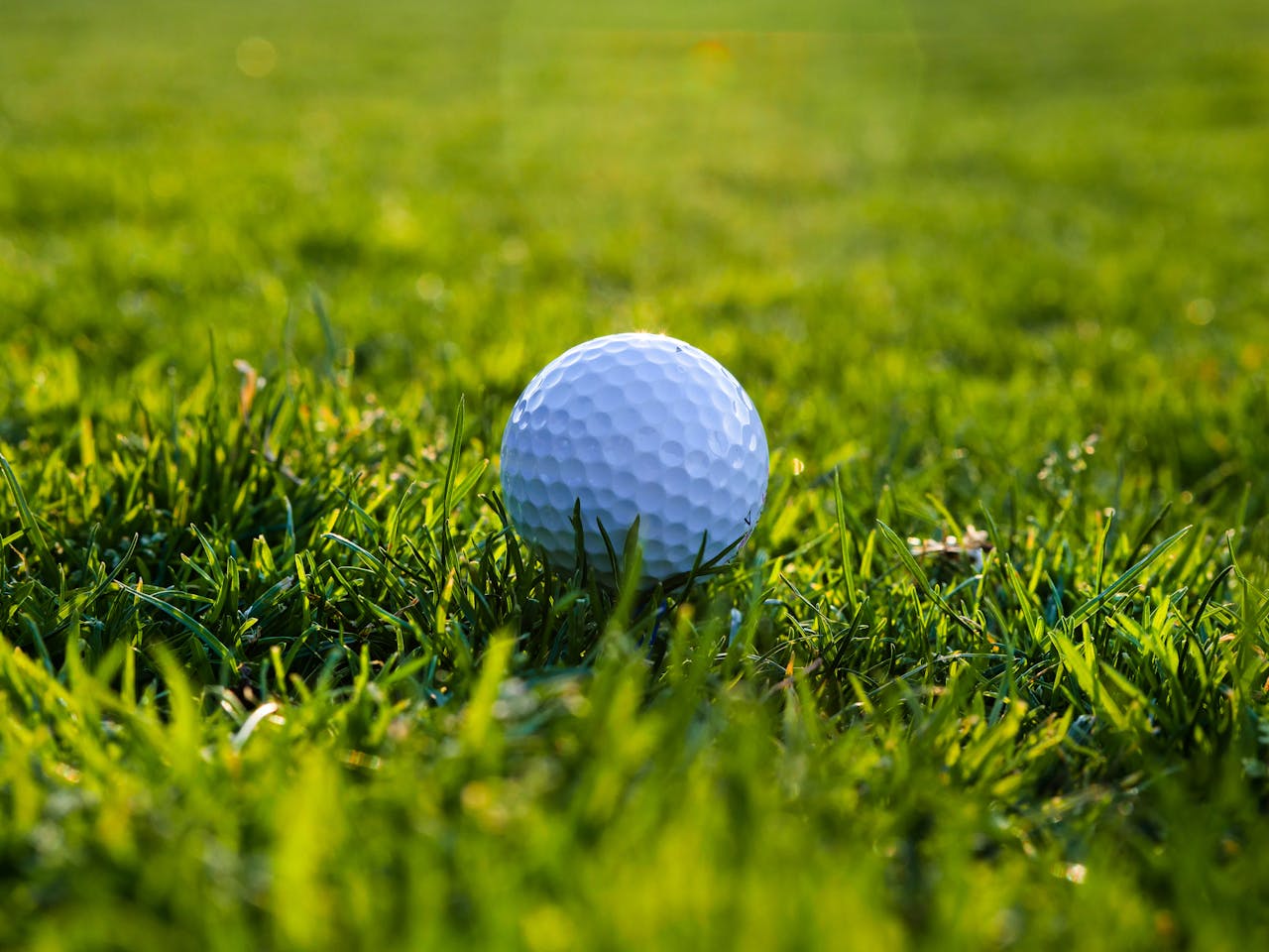 A detailed view of a golf ball resting on green grass, perfect for sports imagery.